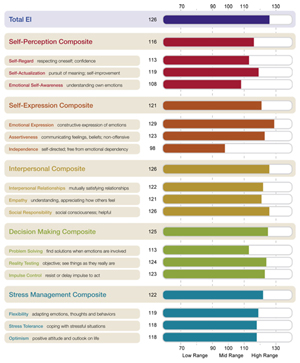 EQ-i2.0 Client Workplace Report Page Image