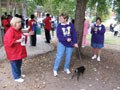 Crowd4 Pic
